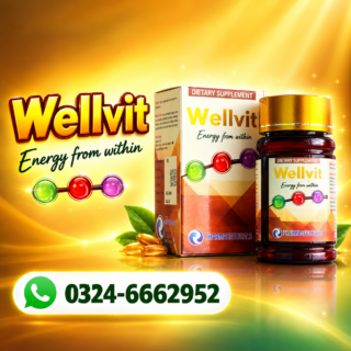 wellvit-tablets-